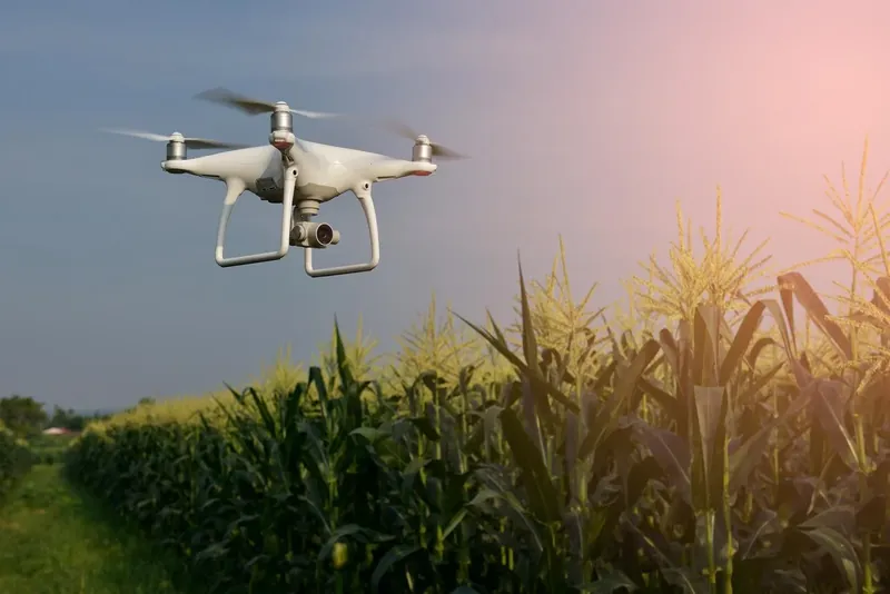 Como limpar e armazenar seu drone agrícola corretamente - Droniuns