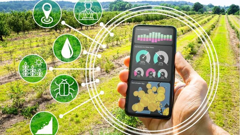 Conheça os Benefícios da Termografia Aérea para o Agronegócio