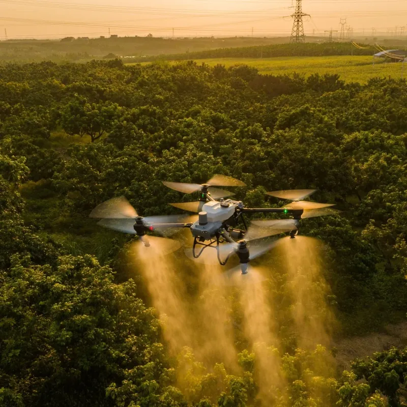 Diversas peças de reposição para drones agrícolas, incluindo hélices, motores e baterias. A Manutenção de Drones Agrícolas oferece tudo o que você precisa para manter seu equipamento em perfeito funcionamento.
